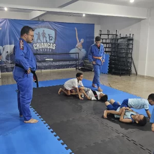 jiu jitsu 3